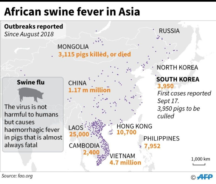 Map showing parts of Asia, where African swine fever spread has led to millions of pigs being culled since August 2018, as of Sep 17, 2019, according to FAO.
