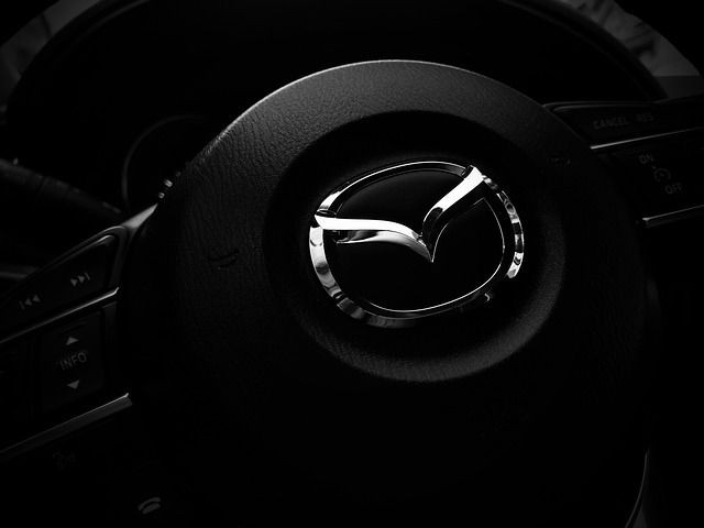steering-wheel-1901050_640