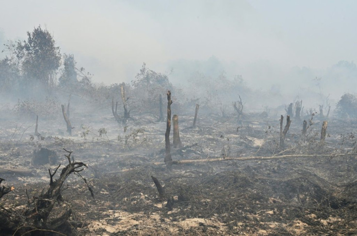 This year's fires have been worsened by dry weather