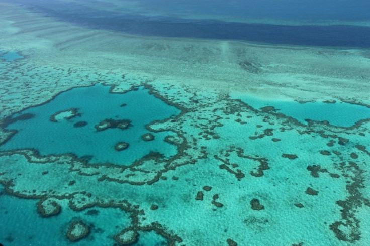 The Great Barrier Reef faces multiple threats to its survival