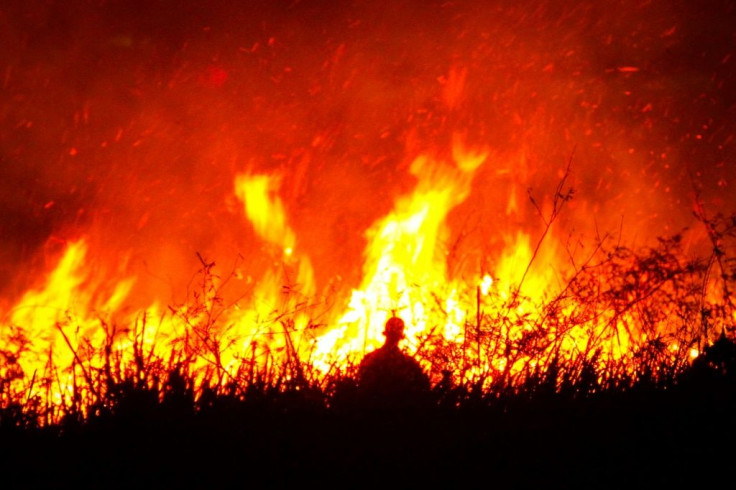 The Indonesian fires are an annual problem during the dry season, but this year's are the worst since 2015 and have added to concerns about wildfire outbreaks worldwide exacerbating global warming