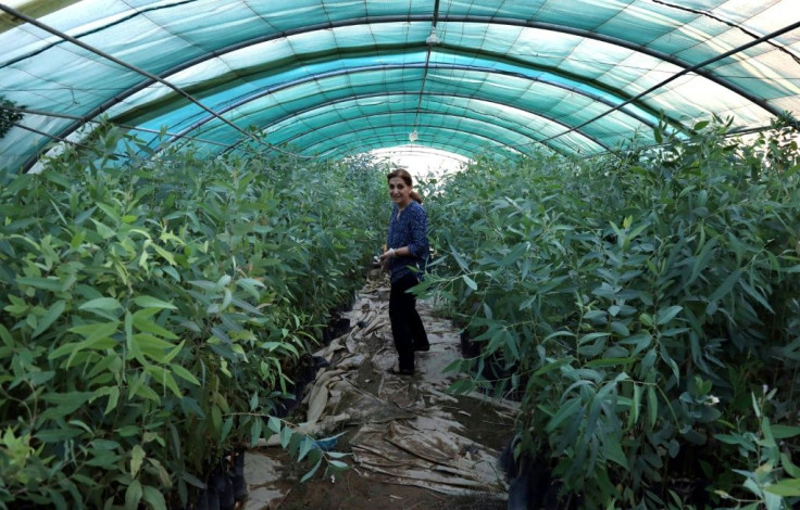 Diman Fatah, here shown tending her plants in her nursery in the Iraqi Kurdish capital of Arbil, encourages other women entrepreneurs to be confident