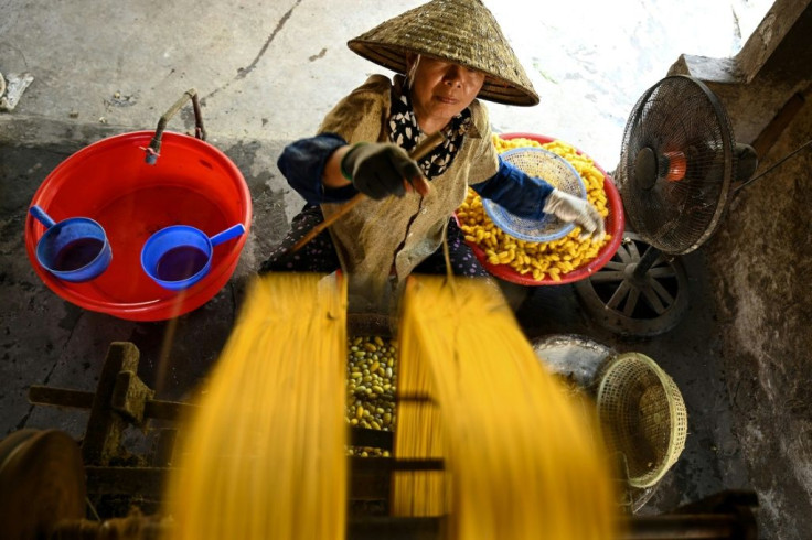 Around 30 kilograms of cocoons are processed every day by each silk worker in Vietnam's Co Chat village