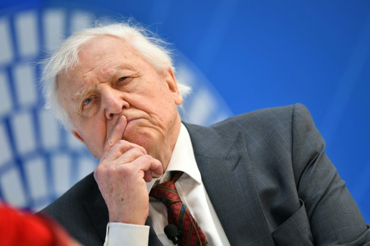 David Attenborough has criticised Australia over its coal emissions and for not giving 'a damn what it does to the rest of the world'