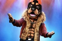 rottweiler masked singer season 2