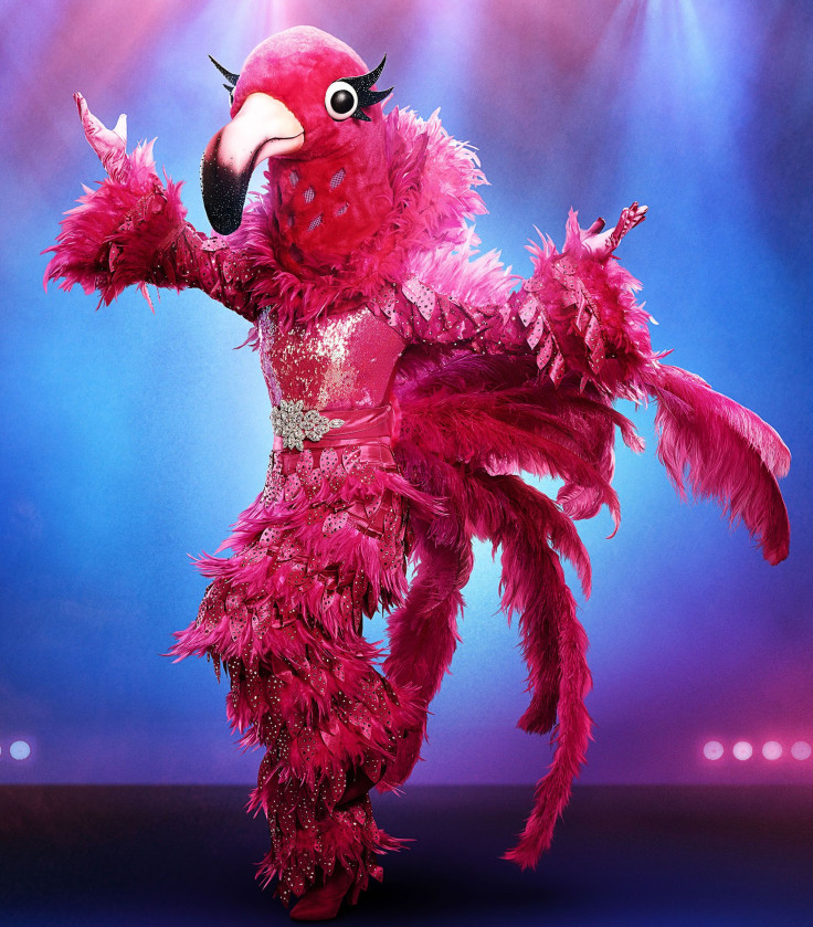 flamingo masked singer season 2