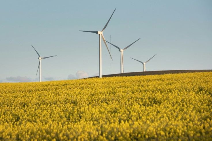 Wind turbines like these in the Western Cape Province in South Africa can generate clean energy to help wean the world off of fossil fuels