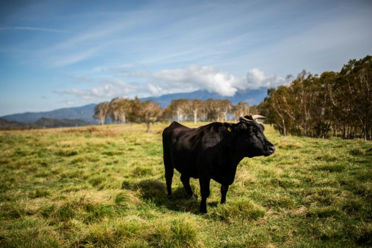 Some Japanese cattle farmers fear they could struggle after a major trade deal with the US