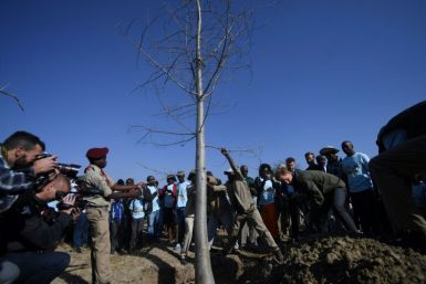 Planting for the future: Prince Harry and Botswanan schoolchildren