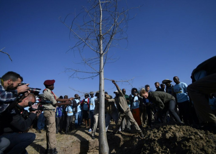 Planting for the future: Prince Harry and Botswanan schoolchildren