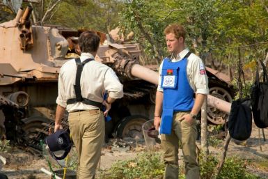 Harry has had a long interest in landmine clearance -- he visited Angola in 2013 to see the work of the Halo Trust first-hand (file picture)