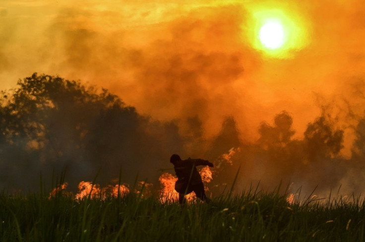 Indonesia has made some arrests over the blazes but in many cases it remains unclear who started the fires - and who ordered them