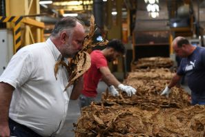 Eric Tabanou, director of the France Tabac, factory in the Dordogne region of southwest France, said keeping the country's last tobacco processing site open became unviable.
