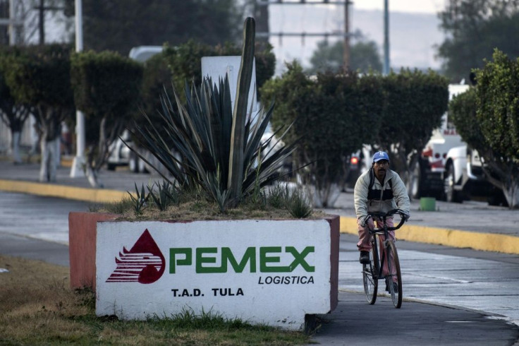 Pemex suffered major financial losses over its purchase of the near-worthless fertilizer plant, which had been sitting idle for years