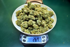 Marijuana buds are weighed at a dispensary in Los Angeles