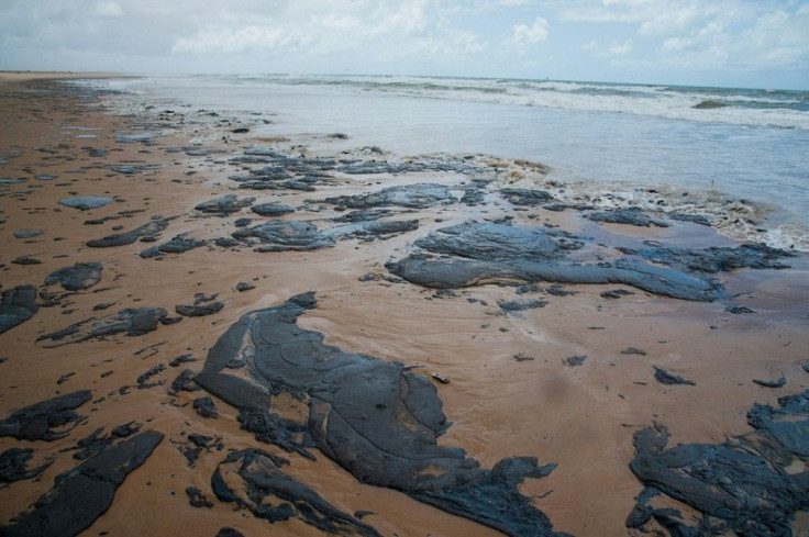 Tamar, a group dedicated to the protection of sea turtles, said the oil spills staining Brazilian beaches was "the worst environmental tragedy" it has encountered since its formation in 1980