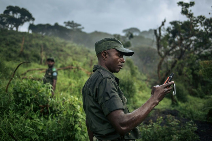 Rangers from Kahuzi-Biega National Park visit the devastated areas of the park