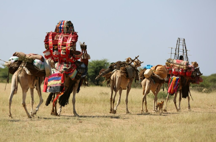 Sudanese villagers carry belongings on camels in the Darfur village of Shattaya following their return home last year after more than a decade of being displaced by war