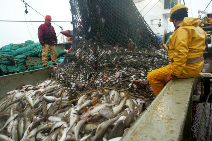 The EU is trying to save fish stocks, but also protect incomes for those in the industry