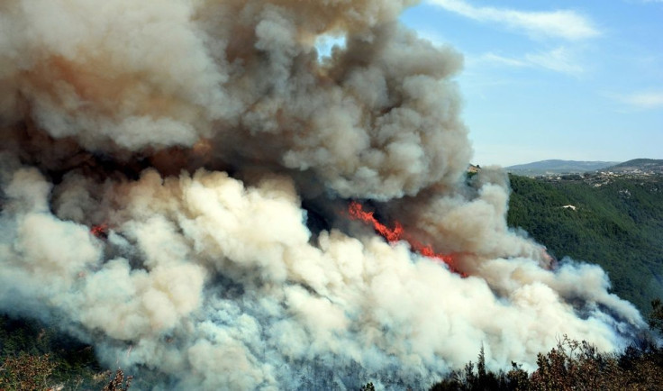 Forest fires have erupted in large swathes of land in Lebanon and Syria