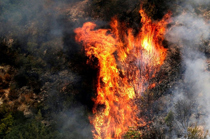 The blazes have devastated parts of the forest in Lebanon's Chouf region