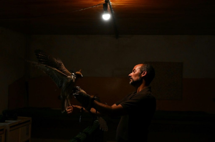 Juan Antonio Sanchez has been breeding falcons for 15 years at the Nebli Falcon Centre in Fuentespina