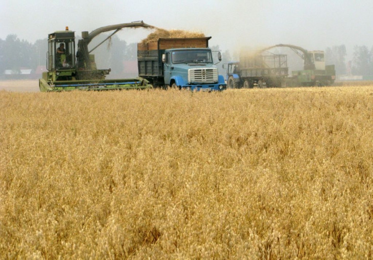 Russian grain exports to Africa represent a significant amount of overall trade and are especially important for Egypt