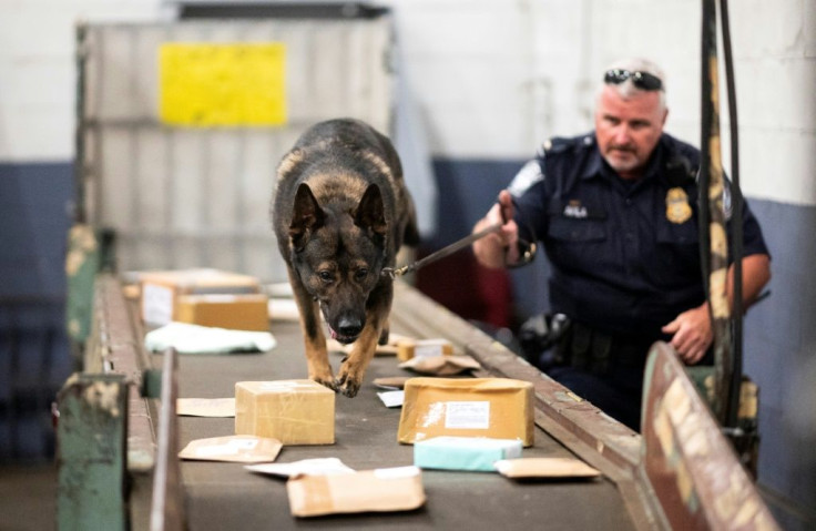 A US customs officer and sniffer dog searches for fentanyl that could be hidden in packages arriving at the John F. Kennedy Airport postal center on June 24, 2019