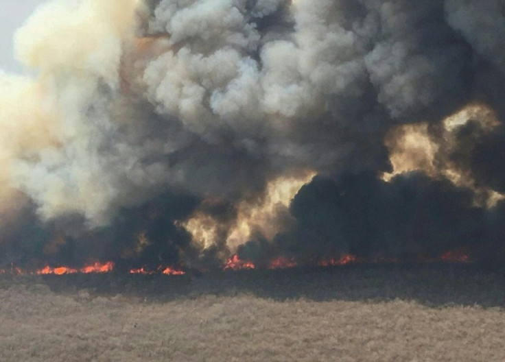A handout picture released by the Santa Cruz government shows a general view of the fires in the Bolivian Amazon, in September 2019