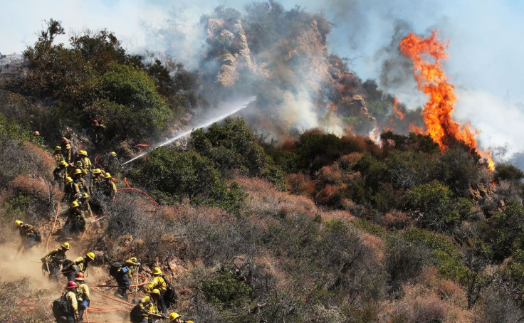 pacific palisades fire