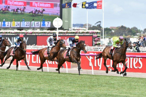The investigation into the mass slaughter of Australian racehorses came just weeks ahead of the prestigious Melbourne Cup turf race