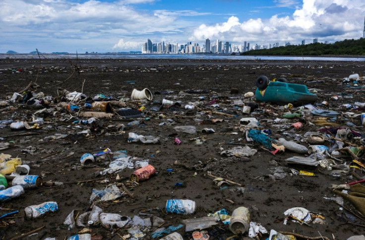 The coalition's volunteers collected nearly half a million pieces of plastic waste during a coordinated 'World Clean Up Day'