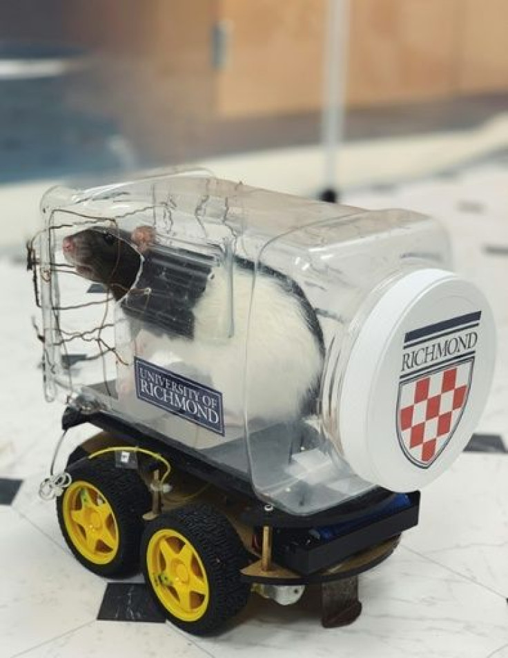Scientists modified a robot car kit by adding a clear plastic food container to form a driver compartment with an aluminum plate placed on the bottom