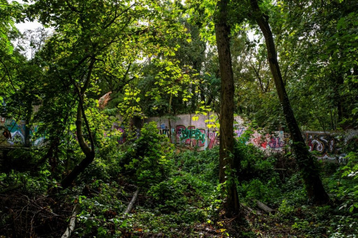 Graffiti-covered sections of the wall are today part of a leafy green belt popular with joggers and cyclists