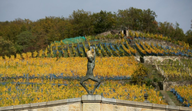 Sculptures by Zimmerlin's wife Malgorzata Chodakowska bring in more income than his vineyard, he says