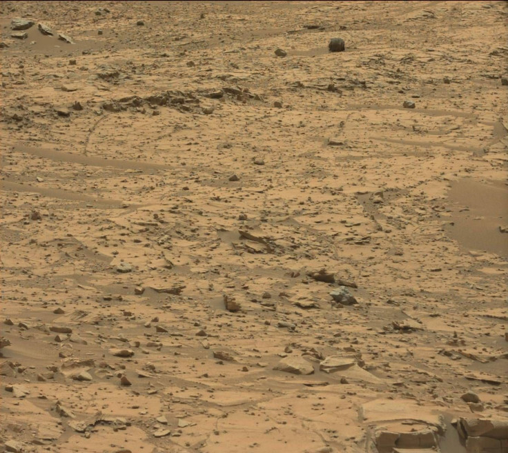 SOL 790