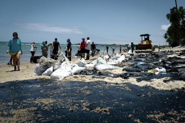 Volunteers and crews clean oil from Paiva beach in Pernambuco on October 21