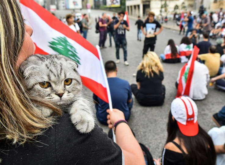 Lebanese protestors have used imaginative methods to bring attention to their demands