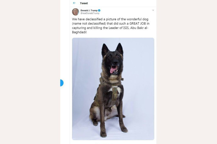 President Donald Trump said this picture of the military dog that helped capture jihadist leader Abu Bakr al-Baghdadi had been "declassified"