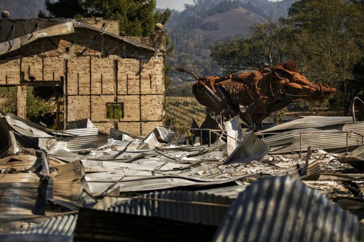 "Lord Snort," a steel sculpture of a boar, survived the fire at the Soda Rock Winery in Healdsburg, California