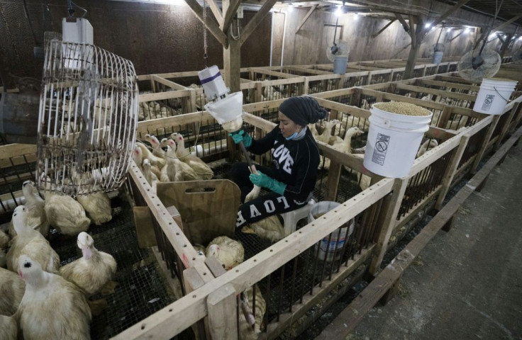 The Hudson Valley foie gras farm in Ferndale, New York