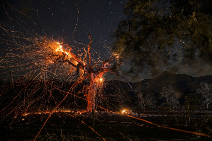 A long exposure photograph shows a tree burning during the Kincade fire off Highway 128, east of Healdsburg, California on October 29, 2019
