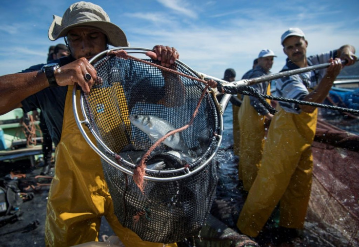 Fishermen say they are paying for the "mistakes of our fathers", with no fish stock left in the sea