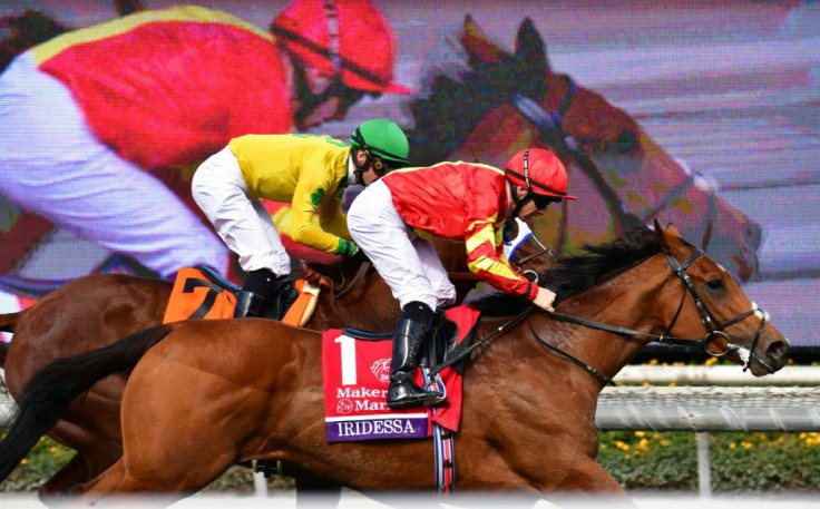 Jockey Wayne Lordan rides Joseph O'Brien-trained Iridessa to victory in the 2019 Breeders Cup Filly & Mare Turf at Santa Anita