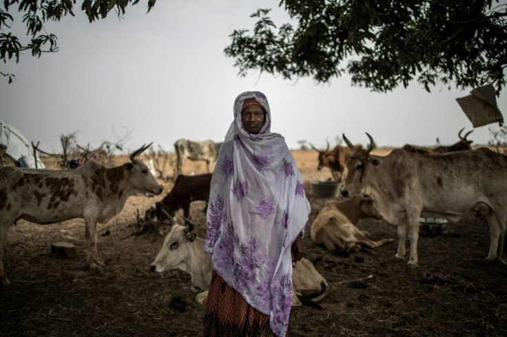 Jihadists who take over villages impose their own puritanical interpretation of Islamic law