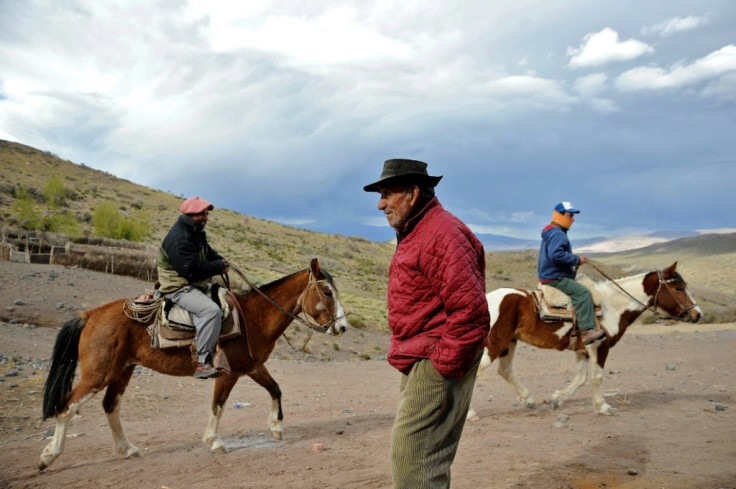 Members of Sazo family, Antonio (C), and Cristian and Nereo on horseback, go to round up their goats in El Alambrado
