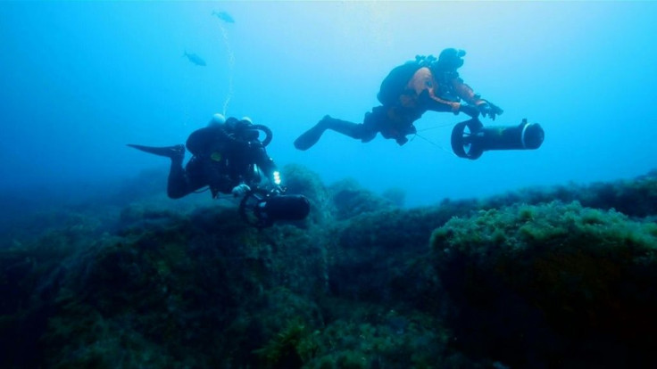 Known as "ghost gear", abandoned objects make up a significant volume of the plastic pollution in the world's seas and oceans and can trap large marine wildlife, causing them slow, painful deaths.