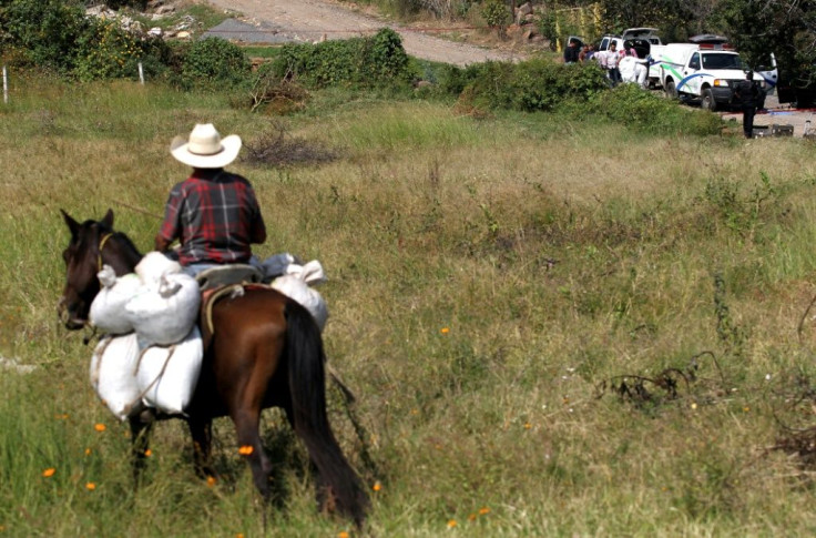 A man rides his horse as a team of forensic experts work after seven bodies were found in three abandoned vehicles on the way to Ocotillo, in Tonala, Mexico