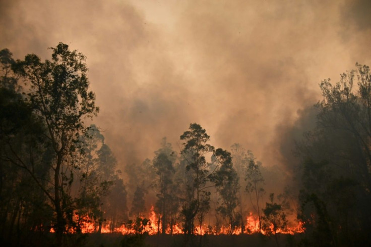 More than 100 fires were still burning across New South Wales and Queensland on Sunday, including dozens of blazes that remained out of control
