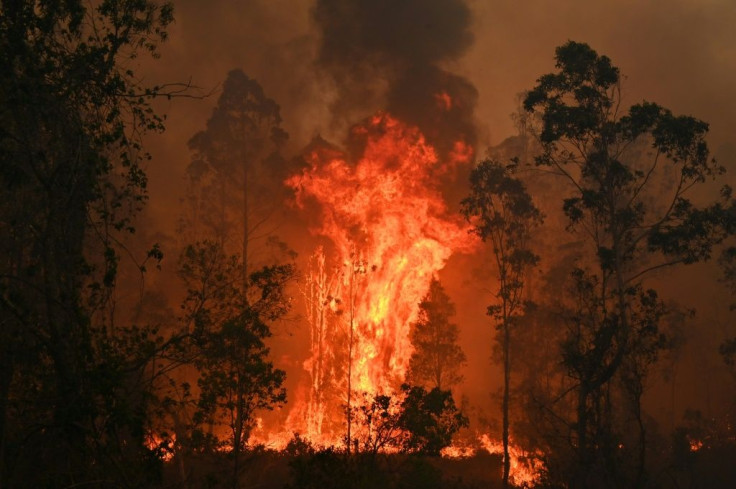 Some fires have burned as high as 20 foot (six metres)